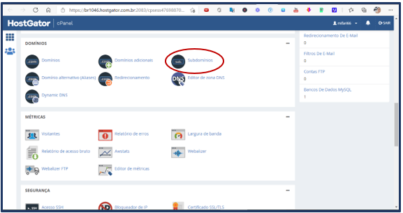 Crie seu Domínio e Hospedagem 2 image 70